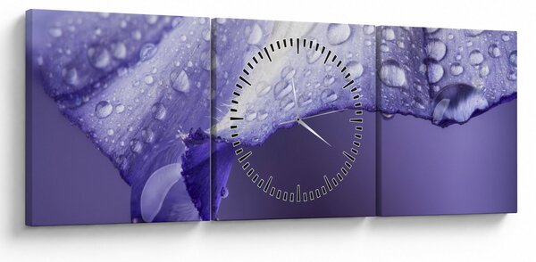 Slika - Latica s kapljicama (sa satom) (90x30 cm)