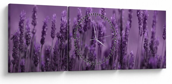 Slika - Lavanda (sa satom) (90x30 cm)