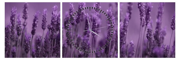 Slika - Lavanda (sa satom) (90x30 cm)