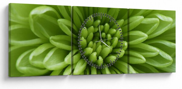 Slika - Makro slika biljke (sa satom) (90x30 cm)