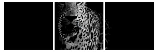 Slika - Portret leoparda (sa satom) (90x30 cm)