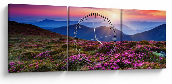 Slika - Planinski cvjetni krajolik (sa satom) (90x30 cm)