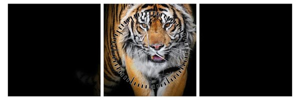 Slika - Tigar (sa satom) (90x30 cm)