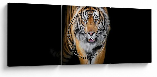 Slika - Tigar (sa satom) (90x30 cm)