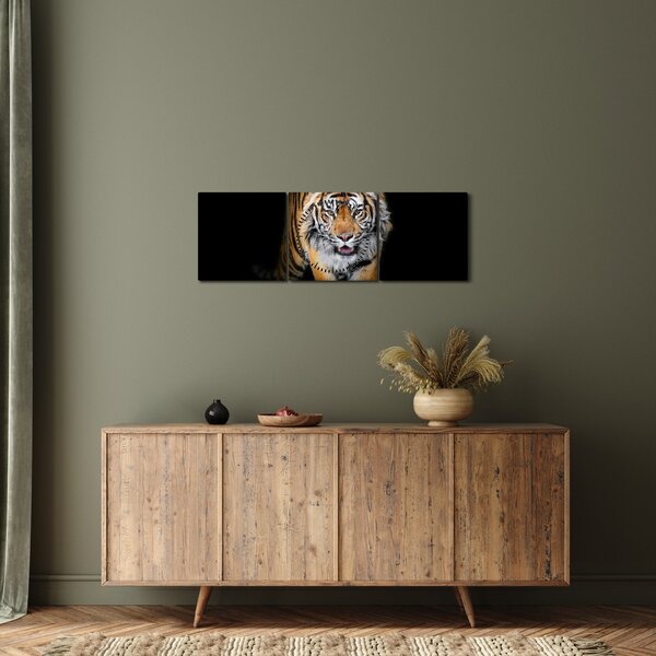 Slika - Tigar (sa satom) (90x30 cm)