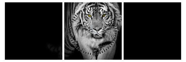 Slika - Tigar sa žutim očima (sa satom) (90x30 cm)