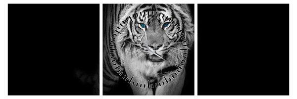 Slika - Tigar s plavim očima (sa satom) (90x30 cm)