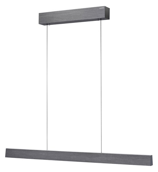 Viseće Svjetiljka PURE, PURE E-Motion, prigušiv, Sivo, Dnevna soba, Metal, Moderan