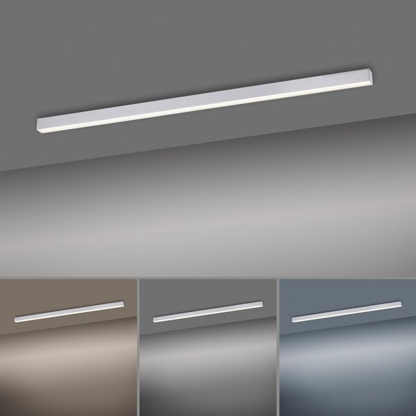 Stropne svjetiljke PURE, PURE Lines Straight, prigušiv, Metalik, Dnevna soba, Metal, Moderan