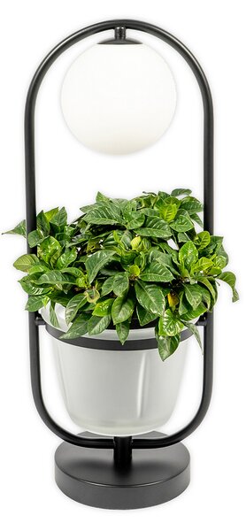Stolne Lampa Lindby, Orna, Crno, Dnevna soba, Metal, Moderan
