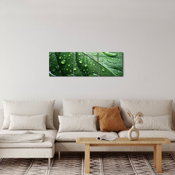 Slika - Detalj lista nakon kiše (sa satom) (90x30 cm)