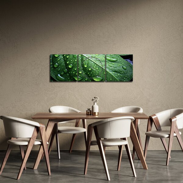Slika - Detalj lista nakon kiše (sa satom) (90x30 cm)