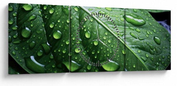 Slika - Detalj lista nakon kiše (sa satom) (90x30 cm)