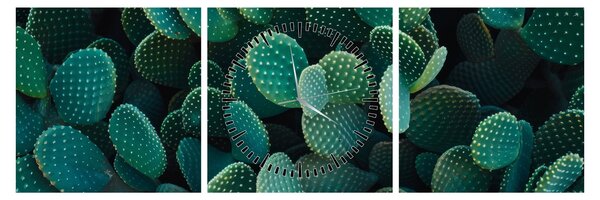 Slika - Opuntia (sa satom) (90x30 cm)