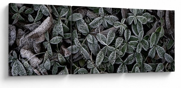 Slika - Smrznute biljke (sa satom) (90x30 cm)
