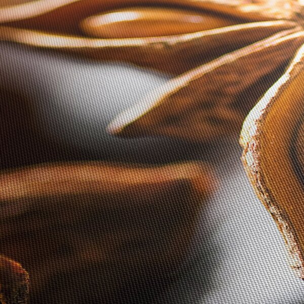 Slika - Anis (90x60 cm)