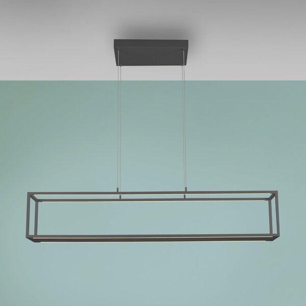 Paul Neuhaus LED viseća lampa Conni, crna, 130 cm, CCT, prigušiva, Crno, Dnevni boravak/blagovaonica, Aluminij