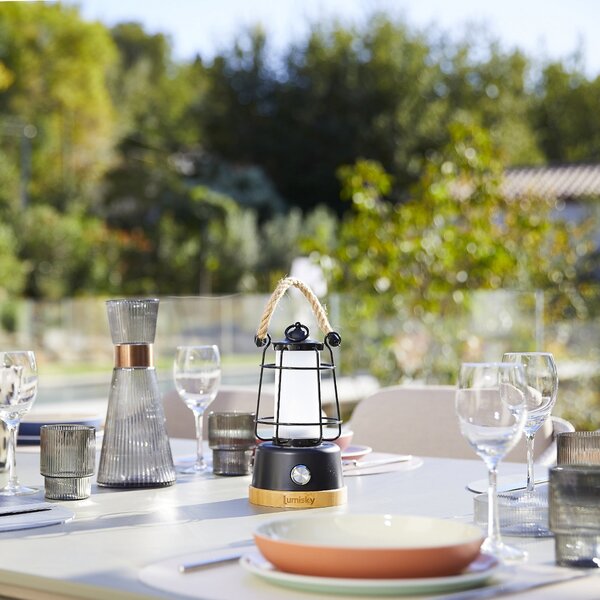 Lumisky Wildy LED punjiva stolna lampa, crna/smeđa, visina 23 cm, metal, prigušiva, Crno, Metal