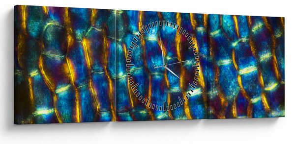 Slika - Stanične stijenke (sa satom) (90x30 cm)