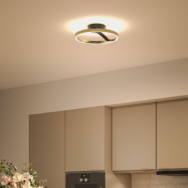 Paulmann Melira LED stropna svjetiljka, crna/zlatna, Ø 38 cm, metal, prigušiva, Crno, Dnevni boravak/blagovaonica, Metal