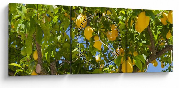 Slika - Limun (sa satom) (90x30 cm)