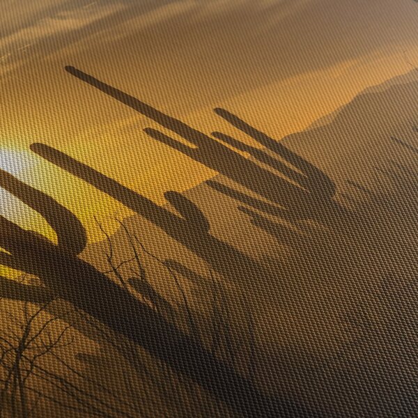 Slika - Saguaro kaktusi (70x50 cm)