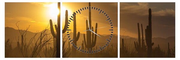 Slika - Saguaro kaktusi (sa satom) (90x30 cm)