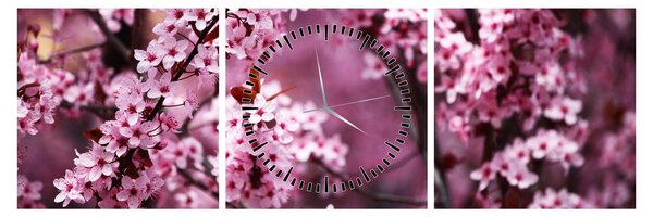 Slika - Ružičasta sakura (sa satom) (90x30 cm)