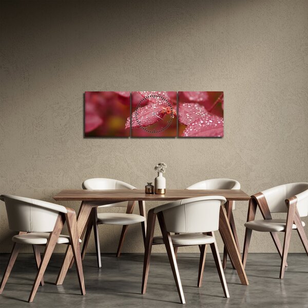 Slika - Makro slika ulaznice (sa satom) (90x30 cm)