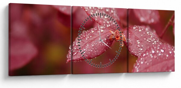 Slika - Makro slika ulaznice (sa satom) (90x30 cm)