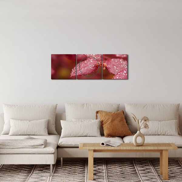 Slika - Makro slika ulaznice (sa satom) (90x30 cm)