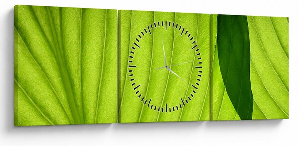 Slika - Detalj zelenog lista (sa satom) (90x30 cm)