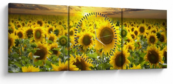 Slika - Suncokreti na zalasku sunca (sa satom) (90x30 cm)