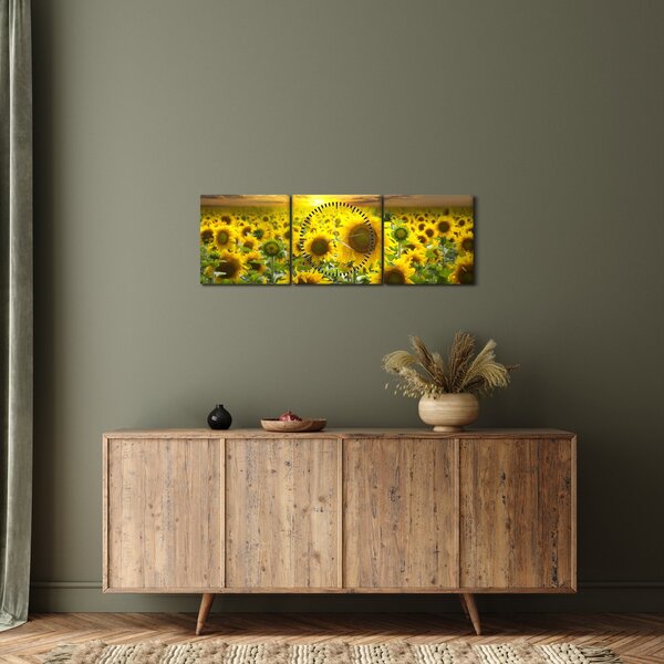 Slika - Suncokreti na zalasku sunca (sa satom) (90x30 cm)