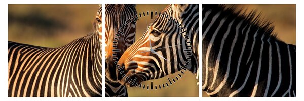Slika - Dvije zebre (sa satom) (90x30 cm)
