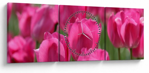 Slika - Ružičasti tulipani (sa satom) (90x30 cm)