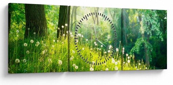 Slika - Čarobna livada puna maslačaka (sa satom) (90x30 cm)