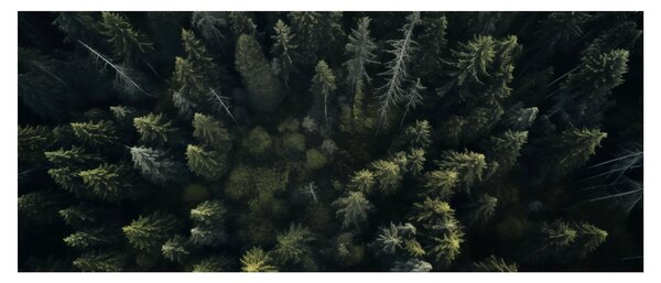 Slika - Šuma (120x50 cm)