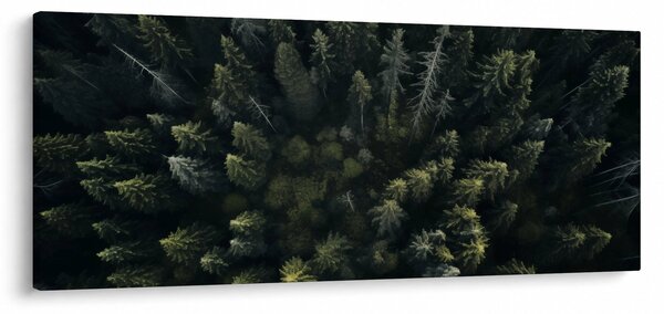 Slika - Šuma (120x50 cm)