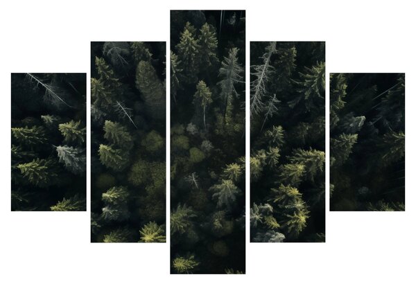 Slika - Šuma (150x105 cm)