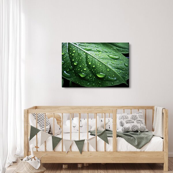 Slika - Detalj lista nakon kiše (90x60 cm)