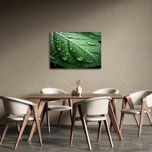 Slika - Detalj lista nakon kiše (70x50 cm)