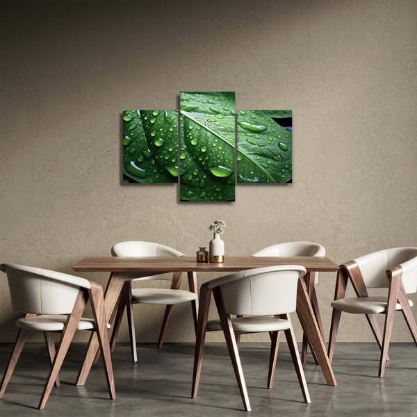 Slika - Detalj lista nakon kiše (90x60 cm)