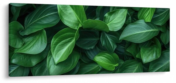 Slika - Zeleno lišće (120x50 cm)