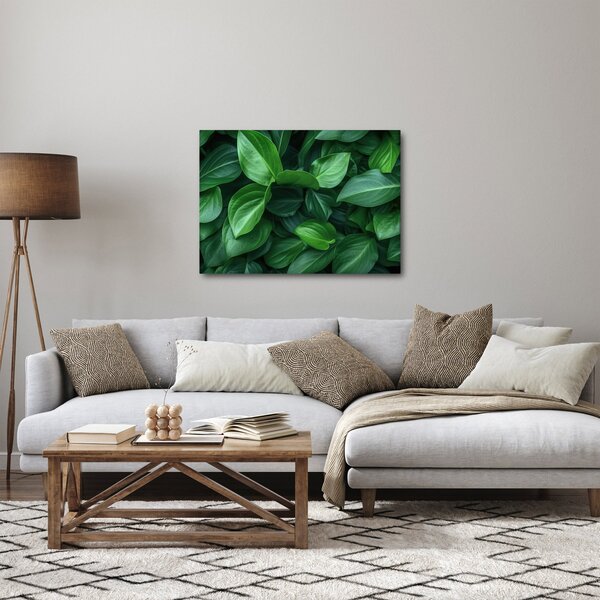 Slika - Zeleno lišće (70x50 cm)
