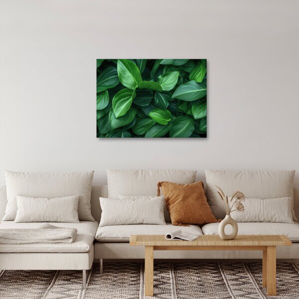 Slika - Zeleno lišće (70x50 cm)