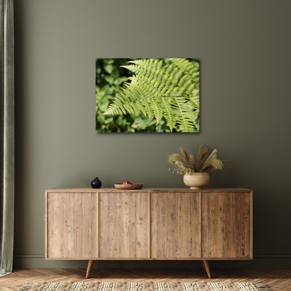 Slika - List paprati (70x50 cm)