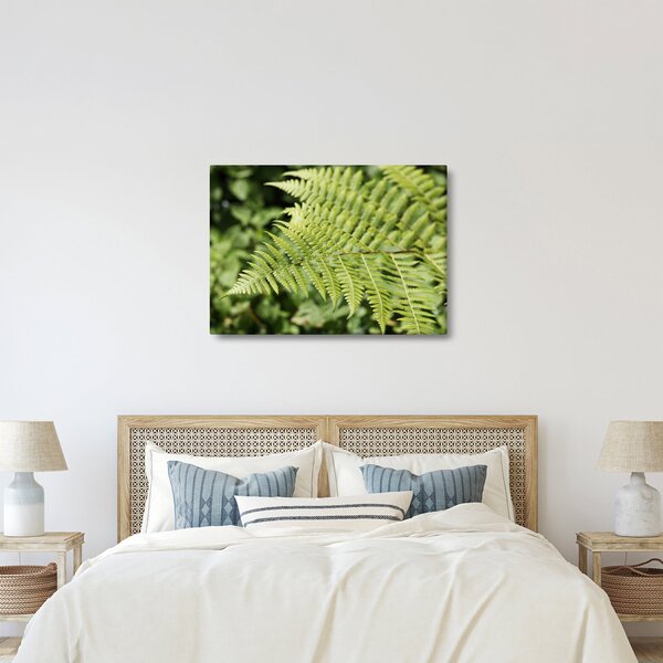 Slika - List paprati (70x50 cm)