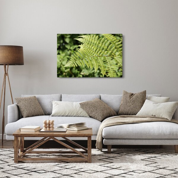 Slika - List paprati (90x60 cm)