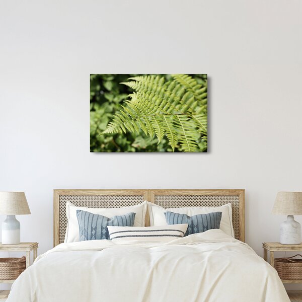 Slika - List paprati (90x60 cm)